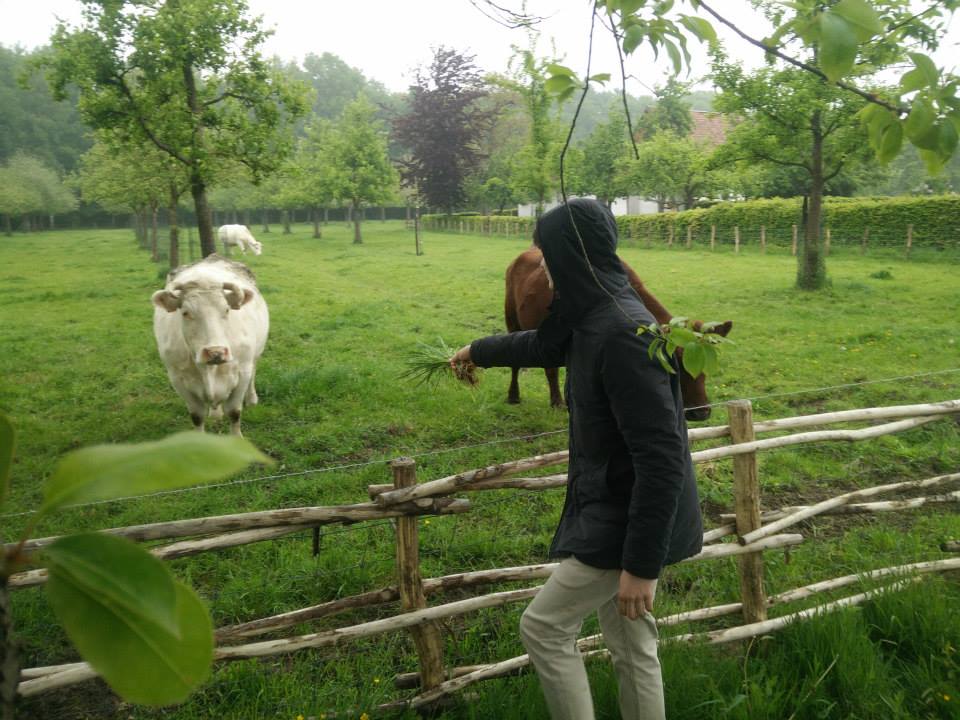 Sint-Martinus den XIIde - Welpen Hollandsveld April mei